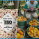 tribo super foods
