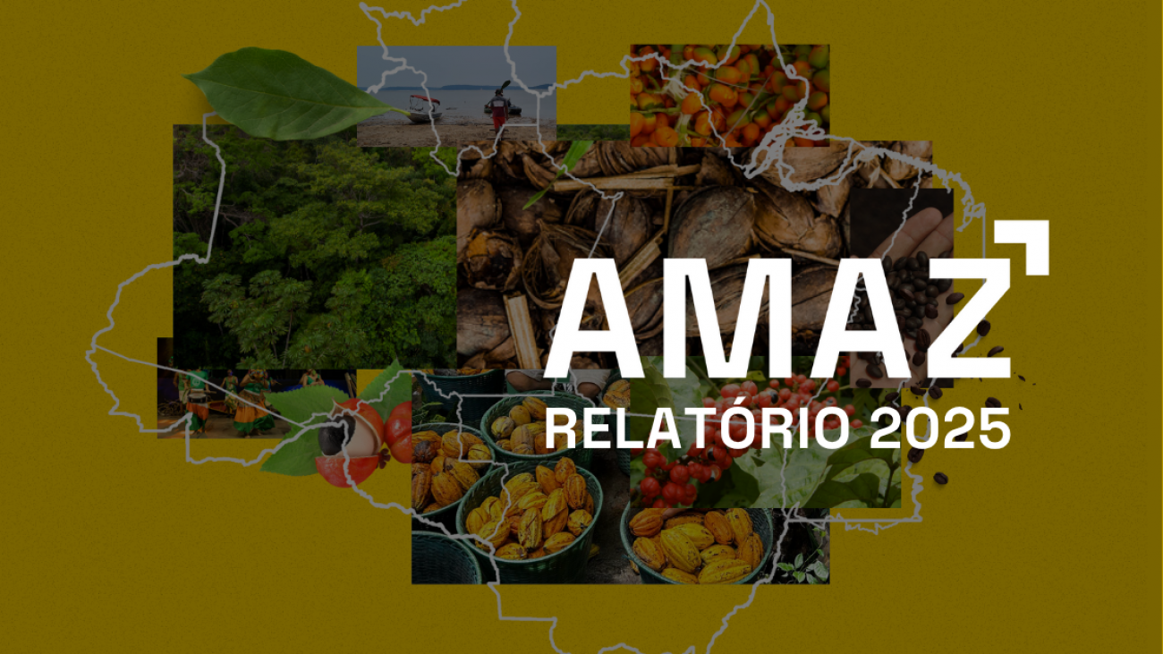 [Capa] Relatório 2025