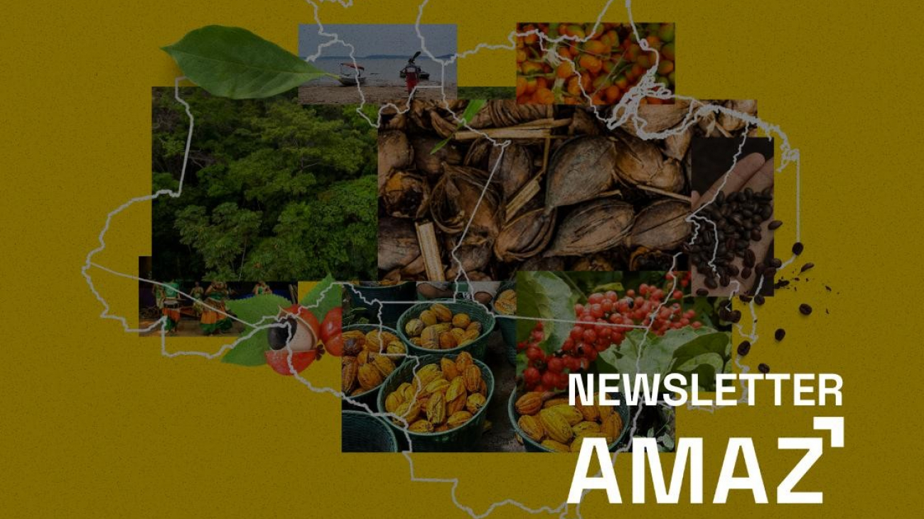 capa site news letter julho