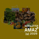 capa site news letter julho